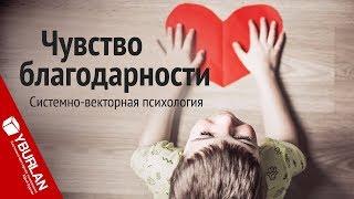 Чувство благодарности. Системно-векторная психология. Юрий Бурлан