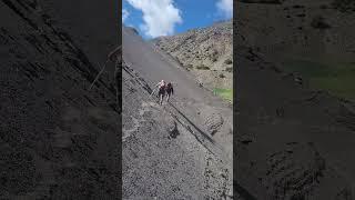 Tetang to muktinath trail