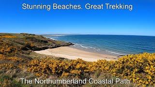 2 days on the Northumberland Coast Path with a wild camp. Stunning beaches, wildlife and great views