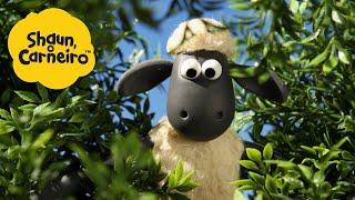 Shaun, o Carneiro [Shaun the Sheep] O que está acontecendo? Hora Especial| Cartoons Para Crianças