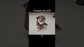 김깜은 엄마가 전부 #shorts