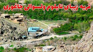 قریه زیبای تایلوم ولسوالی جاغوری | Tailom Village Jaghori