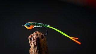 I HAD to do it! The BLOB FIRETIGER! New School FLY TYING!