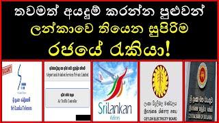 Latest Government Job Vacancies in Sri Lanka 2025 | How to Apply & Eligibility Criteria