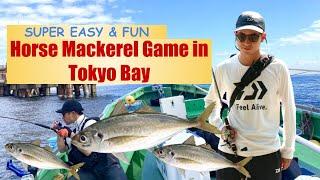 Horse Mackerel Fishing in Tokyo Bay, Japan |  Super Easy and Fun!!!