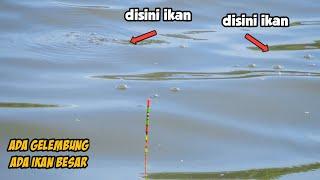 KEMANA PARA PEMANCING ⁉️ MANCING IKAN NILA DAPAT BANYAK SAMPAI CAPEK KOK MALAH SEPI PEMANCING