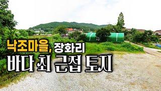 [급매물328] 낙조마을, 장화리, 바닷가 최 근접 토지, 시세이하