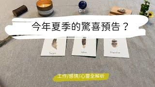 塔羅占卜今年夏季的驚喜預告？工作學業/感情/心靈各層面解析？|艸艸Tarot| Pick a card.