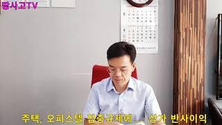 땅사고TV[임동성] 주택 오피스텔 집중규제에....상가, 업무용건물 반사이익