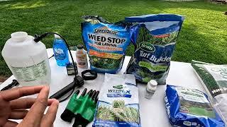 How To Handle Weeds and Prepare Lawn For Fall Overseeding