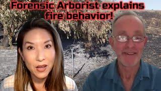 What's CAUSING These WEIRD Fire Burn Patterns in California and Maui?  Forensic Arborist Explains