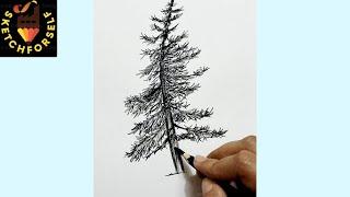 How to Draw Tree for Beginners Step by Step | Realistic Drawing