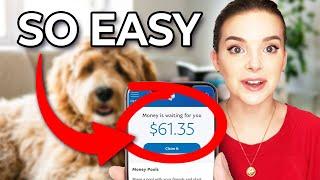 10 BEST Pet Care & Pet Sitting Apps for Making Money