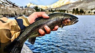 Mini Jig Fishing For Trout | Intake 2 Bishop Creek Canyon California (Eastern Sierra Trout Opener)