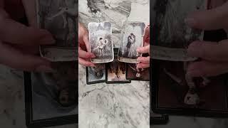 O Ne Durumda ve Sizi Neler Bekliyor ?#tarot #tarotfali #tarotaçılımı #tarotreading