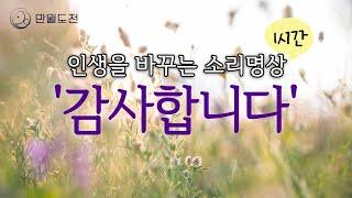 기적을 부르는 감사 명상 | 감사 소리 명상 | 만월도전TV 선도명상