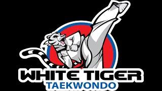 Little Tiger Class Punching Drills | JH Kim's WHITE TIGER MARTIAL ARTS