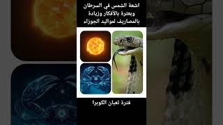 خلو مسار الجوزاء