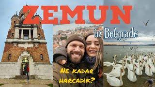 Belgrad'ta sakin ve bohem ZEMUN | Gardos Kulesi, Tuna Nehri, yemekler ve fiyatlar | Sırbistan vlog