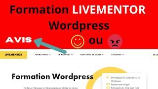 Avis Formation Livementor Wordpress