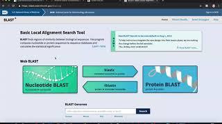 Analyzing Gene Sequence Results with BLAST