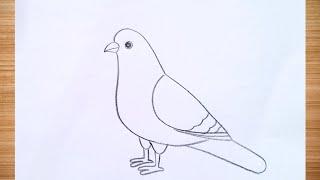 how to draw pigeon drawing easy step by step@DrawingTalent