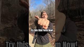 Try this Silat Jurus (Form) Now! #martialarts #pencaksilat #kungfu