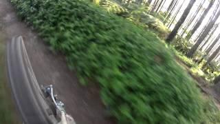 Some more single track at Puni Mountain bike track , Pukekohe , NZ