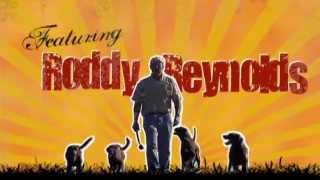 Roddy Dogs - Advanced Dog Obedience Training