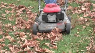 Columbia Association: Mow(Yes, Mow) Your Leaves! Mulching leaves is as easy as 1, 2, 3.