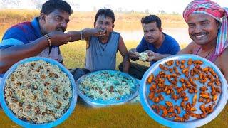 Egg Chicken Fried Rice cooking and eating | River side picnic video | Village Cooking Vlog