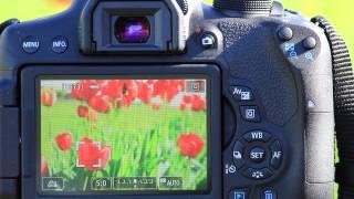 Canon EOS 750D: сенсорное управление, выбор точки фокусировки, автофокус