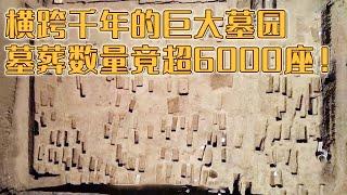 四年发掘墓葬近1900座 却不到总量的三分之一！这座空前巨大的墓园究竟埋藏着什么？《探索·发现》2024考古进行时 第一季 盐源老龙头墓地发掘纪实（1）丨 中华国宝