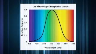 Photometric Measurements: Measuring Illuminance with the PD300-CIE