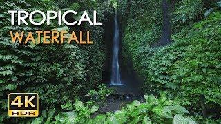 4K HDR Tropical Waterfall - Natural White Noise - Relaxing Nature Sounds & Video - Ultra HD