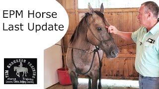 Final update on horse with EPM