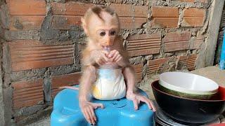 Most Obedient Baby DAM Sit ON Chair Watch Mom Cleaning Dish