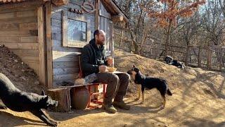 The mountains are my life, the animals are my family – this is what true happiness looks like.