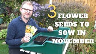 3 Flower Seeds to Sow in November | What to Grow in November | Autumn Sowing | Plant Propagation