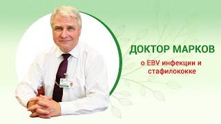 Клинический дневник доктора Маркова: EBV инфекция и стафилококк