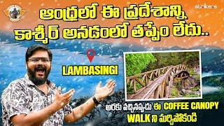 Lambasingi Araku Short Trip For weekend || Coffee Trail At Araku Sunkarmetta|| Telugu Travel Vlogger