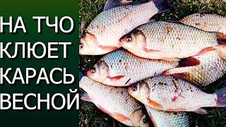 НА ЧТО КЛЮЕТ КАРАСЬ ВЕСНОЙ???: ЛОВЛЯ КАРАСЯ НА ПОПЛАВОК!!!