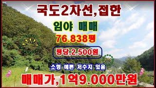 물번.229번) 국유림120만평에 둘러 쌓인 임야,76.838평 을 평당,2.500원에 매매합니다 국도 2차선을 잘 접하고 있습니다 농림지역,계획관리지역,준보전산지,6.200평~