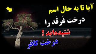 درخت غرقد، که پیامبر مان (ص ) در حدود ۱۴۰۰ سال پیش هشدار داده بود، شروع به کمک به اسرائیل کرد!