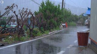 The sound of rain for everyone suffering from insomnia on a rainy country road, rain ASMR for sleep