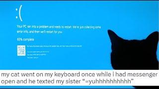 Cats on keyboards creating chaos