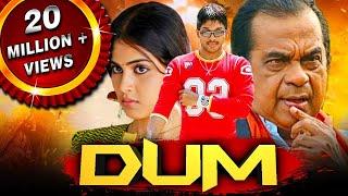 Dum (HD) - साउथ की ज़बरदस्त कॉमेडी फिल्म |Allu Arjun, Brahmanandam,, Genelia D'Souza, Manoj Bajpayee