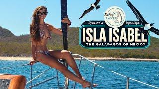 Isla Isabel, The Galapagos of Mexico | Sailing Avocet