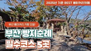 부산 베이커리 카페 빵지순례 필수코스 BEST 5곳 ｜부산카페추천