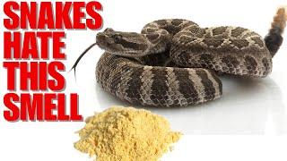 How To Keep Poisonous Snakes Out Of Your Yard (Homemade Recipe)